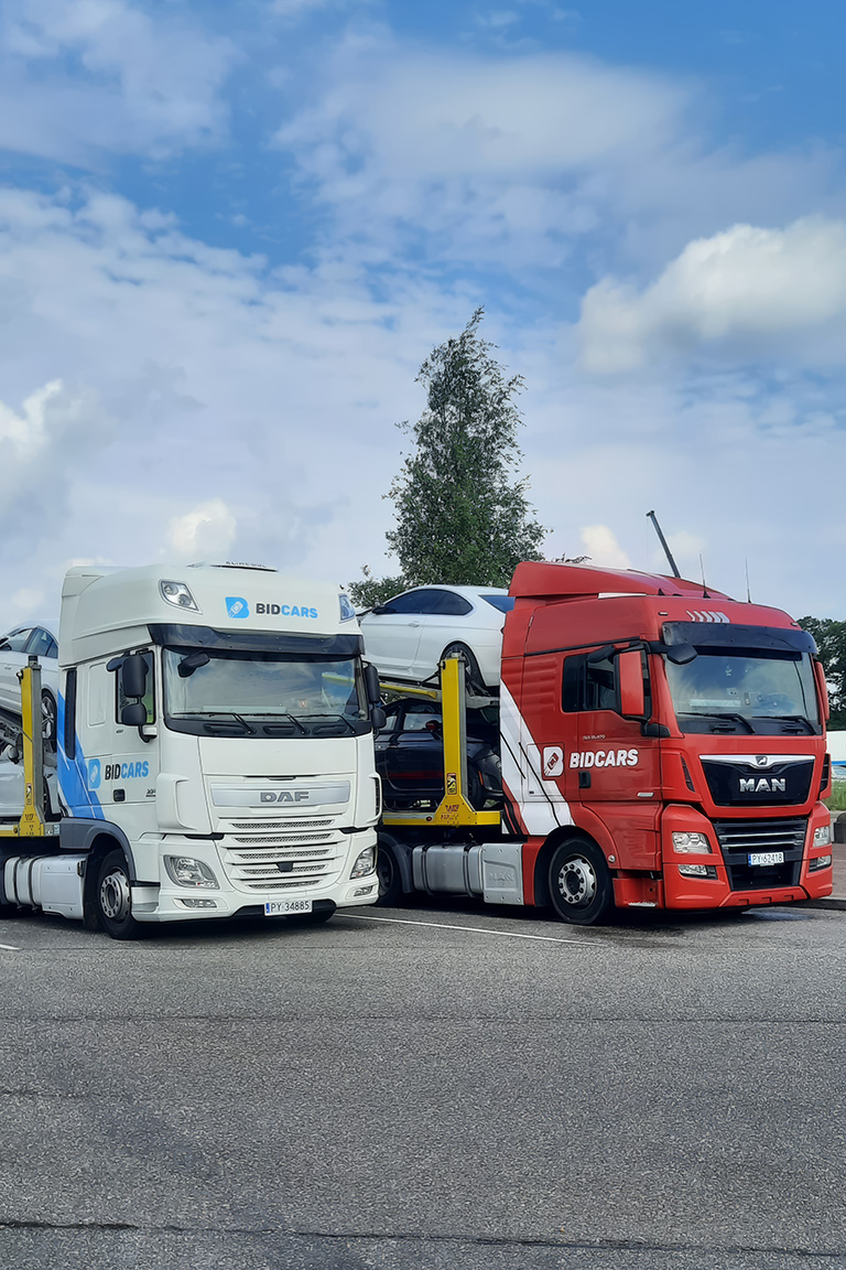 Professional custom clearance services from BidCars